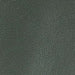 color swatch Ionic Green Leather Biker Jacket
